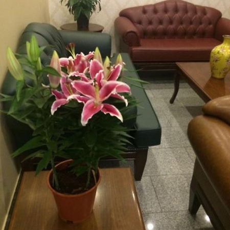 Uenver Hotel 아다나 외부 사진